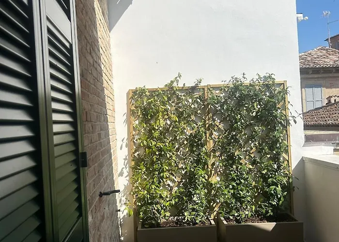 Montevecchio 56 公寓